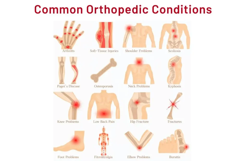 Best Ortho Hospital in Tamilnadu