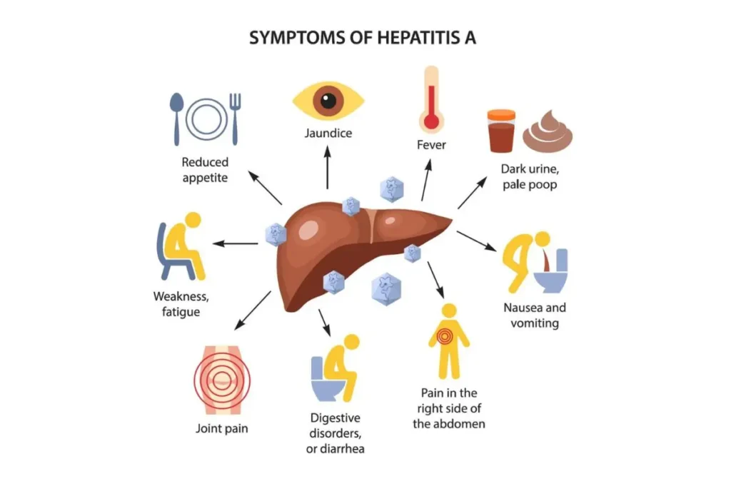 Best Hepatologist in Chennai
